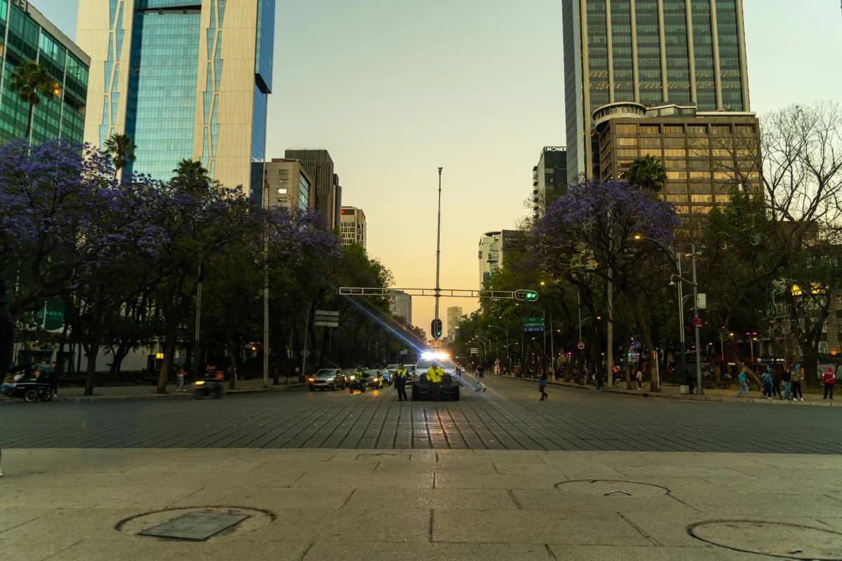 Concurso Polícia Federal 2026: situação real, 5 cargos e como estudar agora